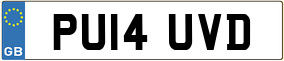 Trailer License Plate